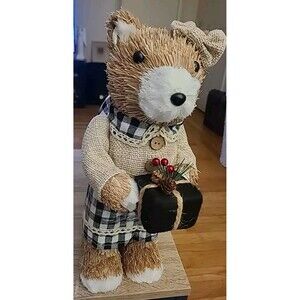 Sisal 14" Bristle Bear Boy & Girl Valerie QVC Christmas Winter Holiday Decor